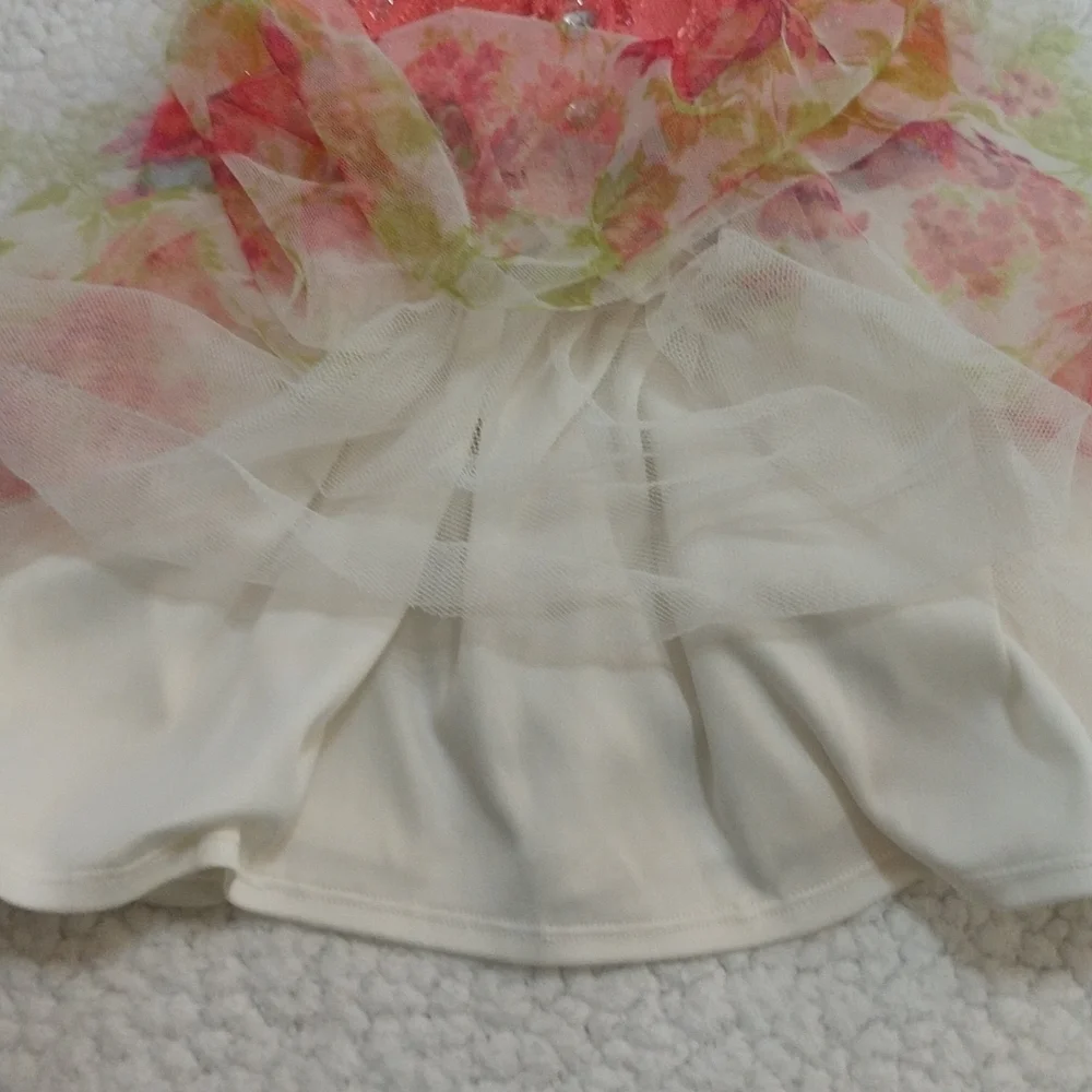 Little Lass Party Dress Size 12 Months